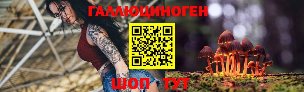 дарнет шоп  Вход с VPN  Псилоцибиновые грибы Psilocybe  Сызрань  Псилоцибиновые грибы мухоморы 